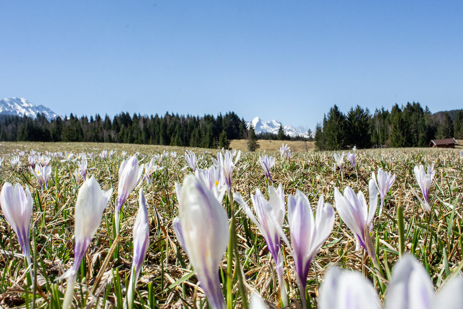 Mittenwald Urlaubsregion