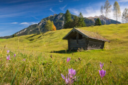 Alpenwelt Karwendel Mittenwald Region