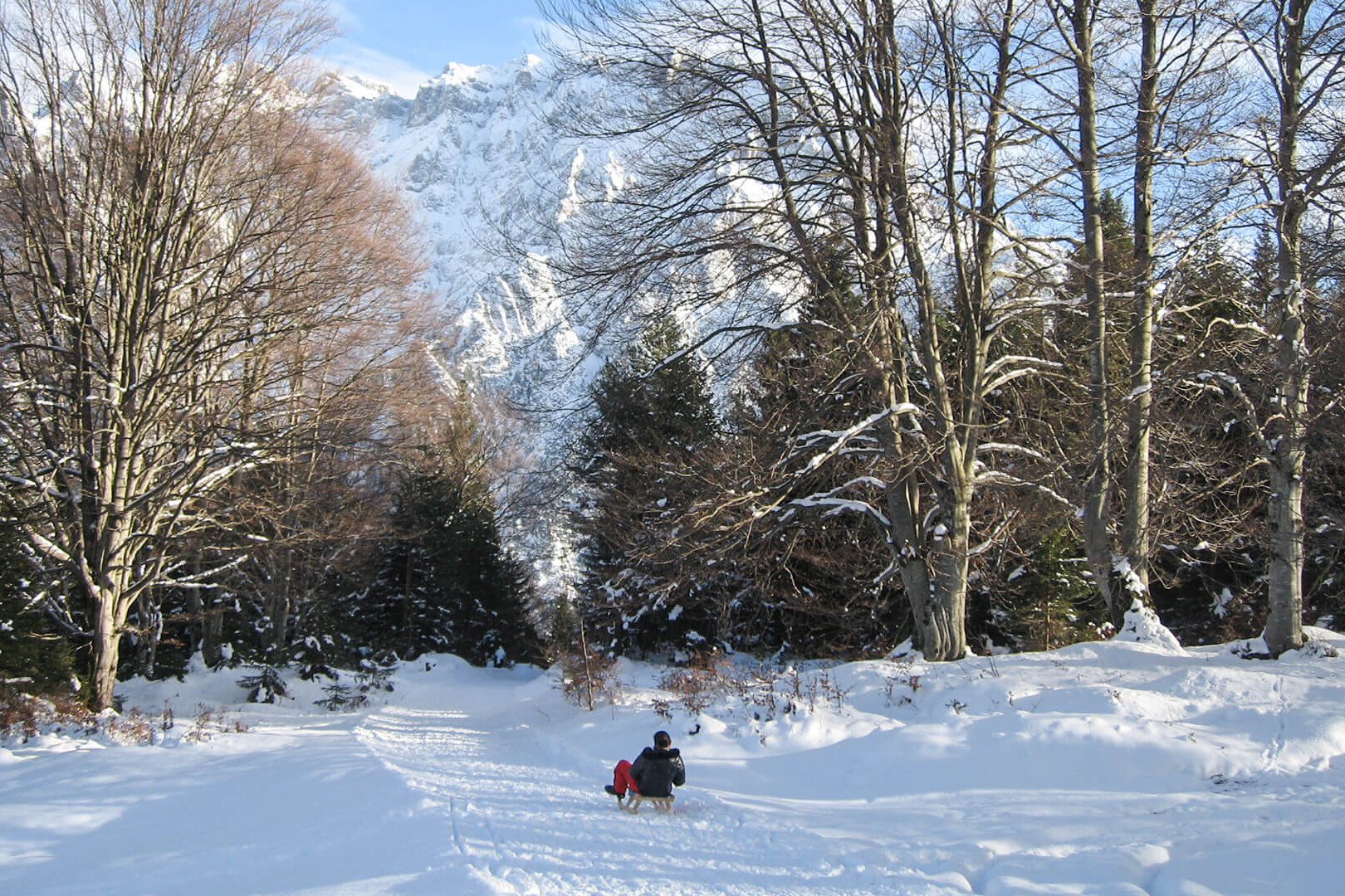 Rodeln am Kranzberg