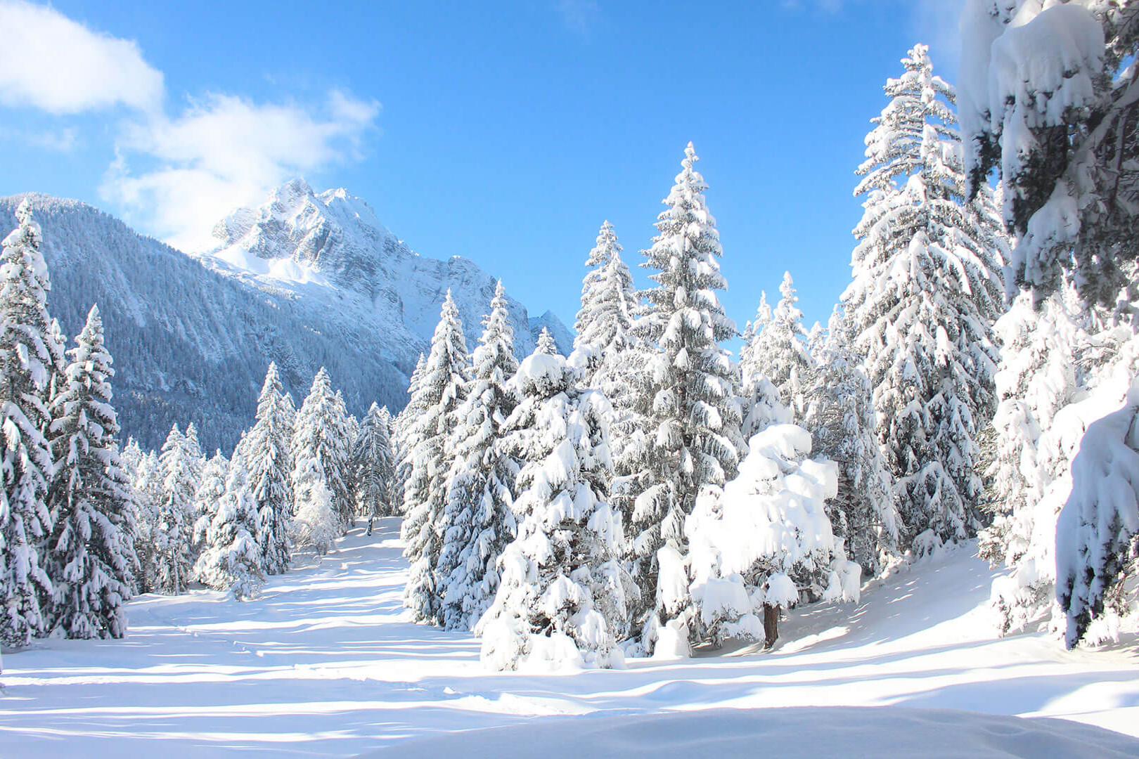 Alpenwelt Karwendel Mittenwald Region
